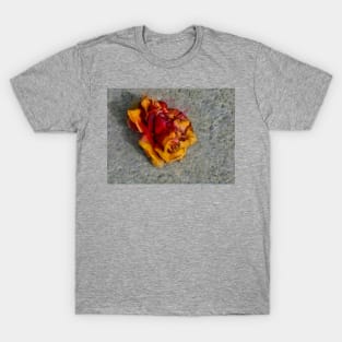 Far From Heaven T-Shirt